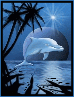Dolphin