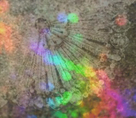 TumbleForYouNeonCrystalFan
