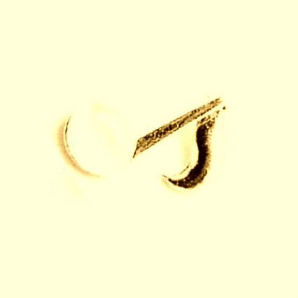 FromSeaToShiningPearlNote