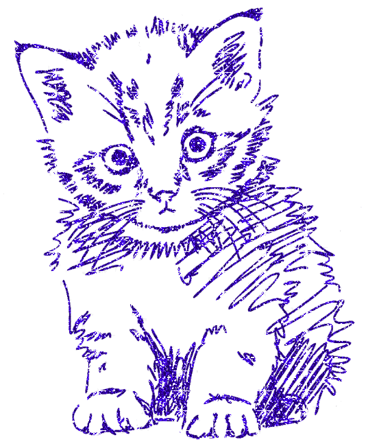cat