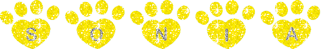 Sonia - heart paw prints