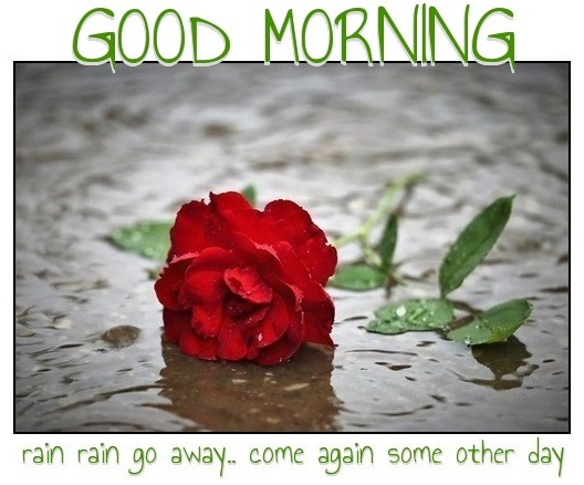 GOOD MORNING.. RAIN RAIN GO AWAY