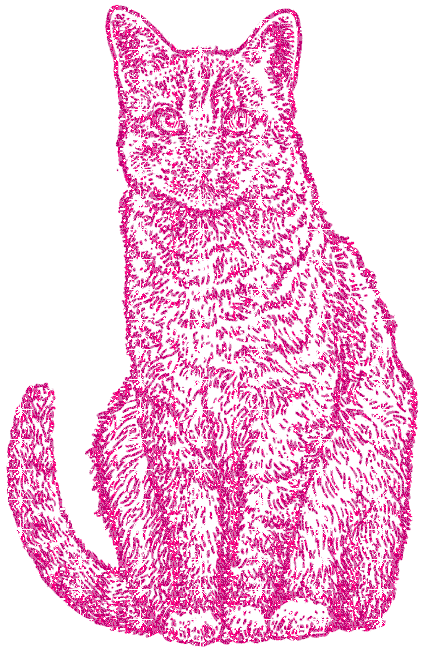 cat