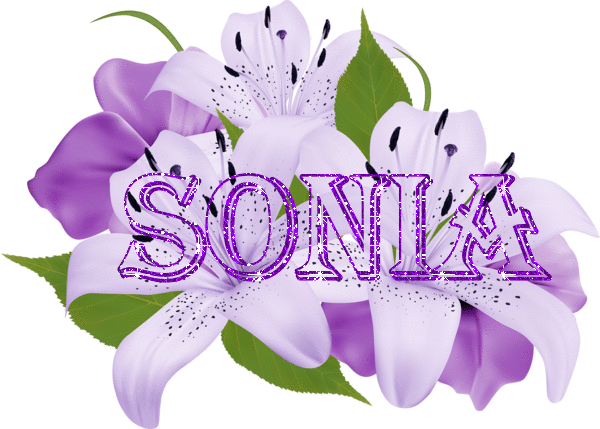 Sonia - flowers