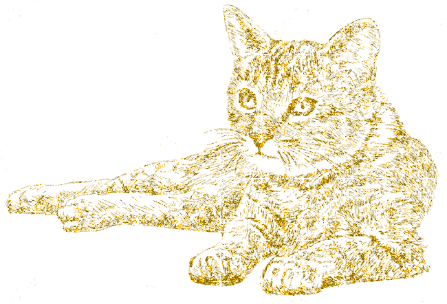 cat