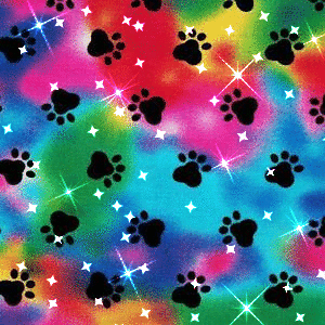 Rainbow Paw Prints
