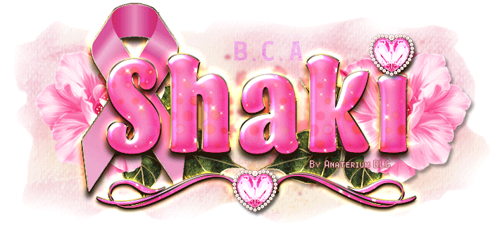 Shakela - BCA 2019