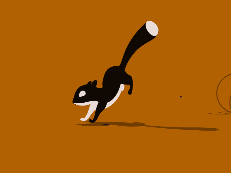 squirrel