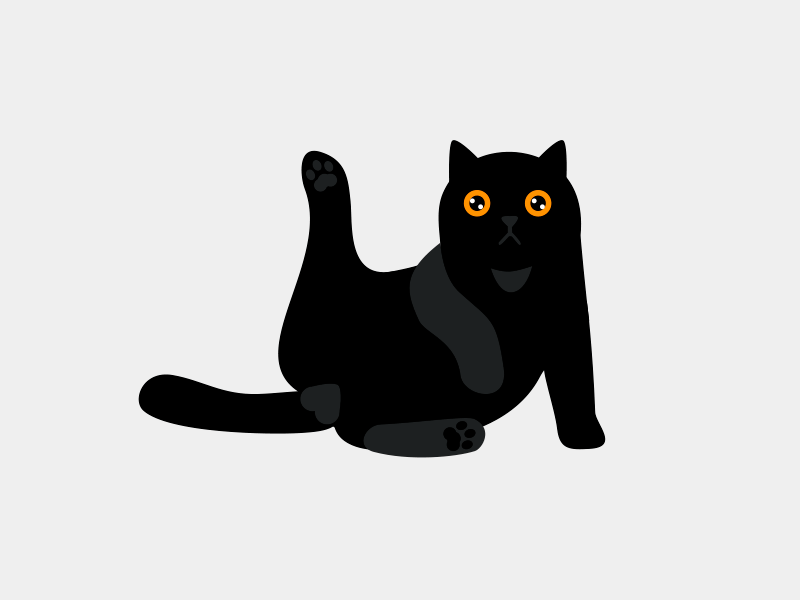 black cat