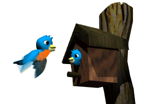 blue birds