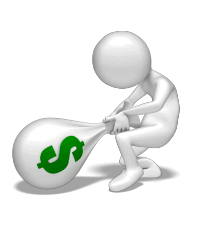 money in  the bag