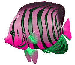 big fish