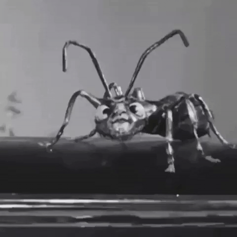 monster ant scaring woman