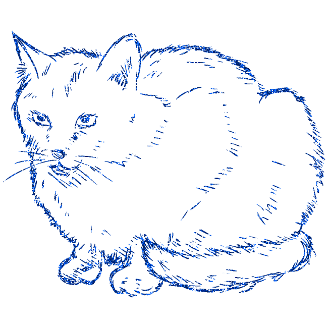 cat