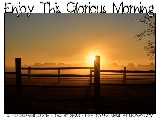 ENJOY THIS GLORIOUS MORNING