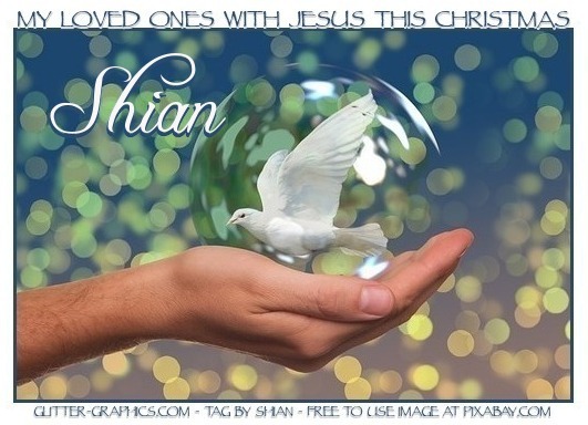 MY LOVED ONES WITH JESUS THIS CHRISTMAS.. Shian