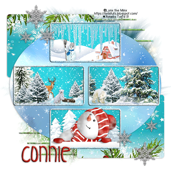 A Snowman's Curiosity - Connie