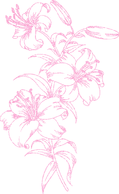 lilies