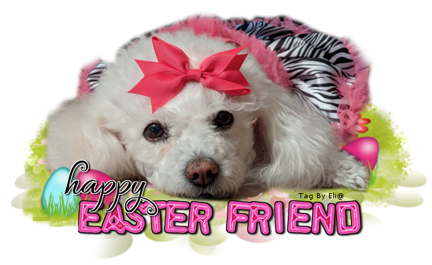Happy Easter