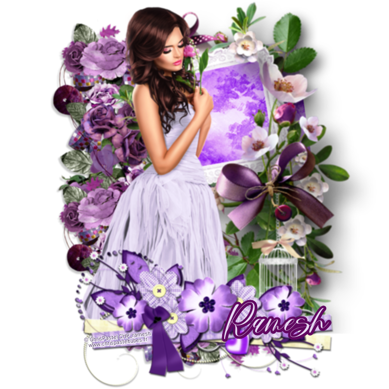 SPRING TIME - RAMESH