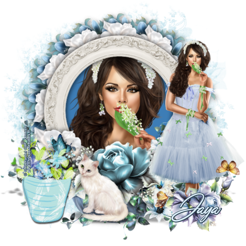 SPRING TIME - JAYA