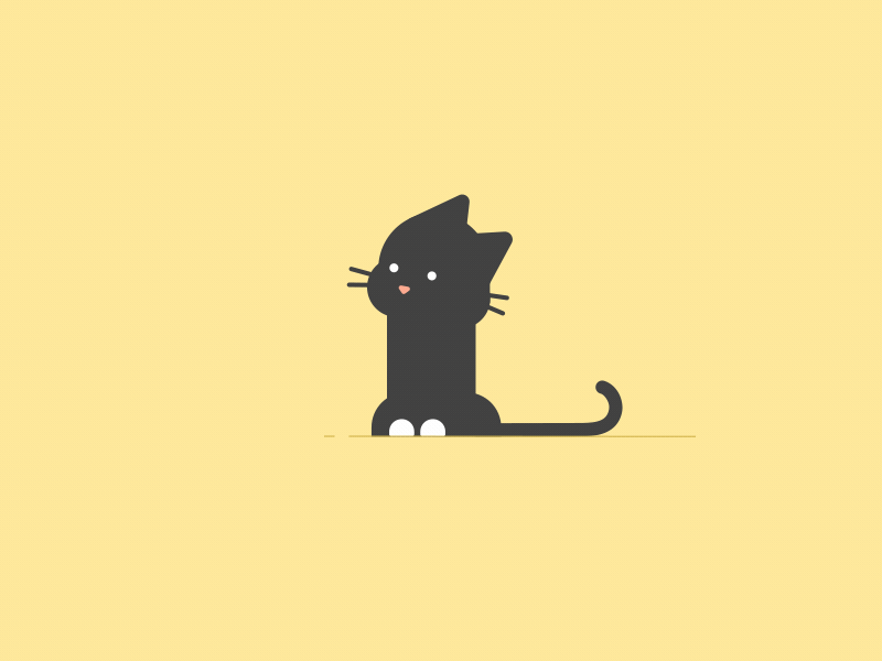 black cat