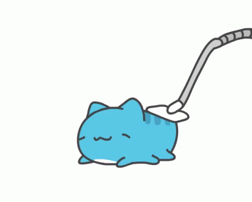 blue cat