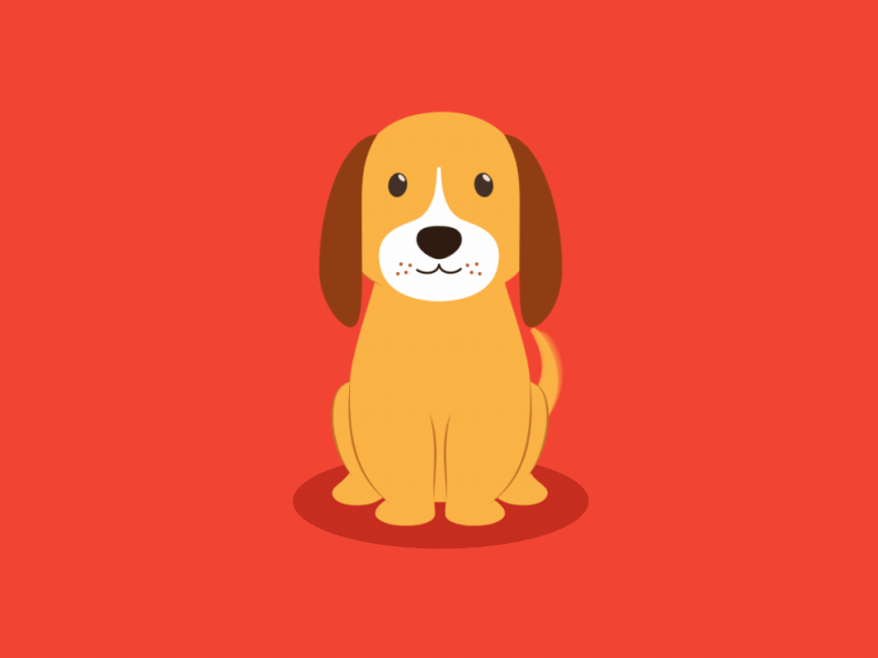dog