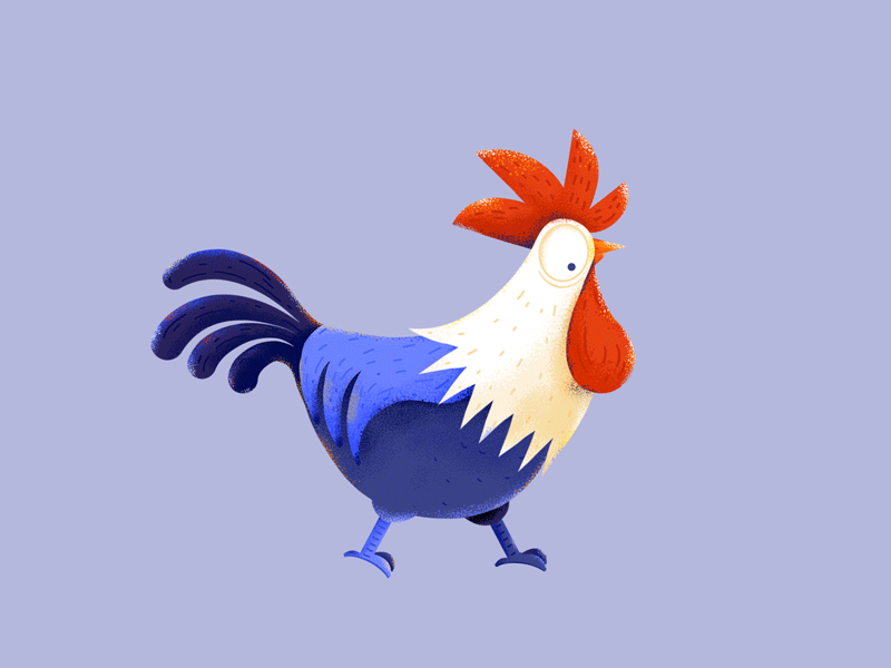 rooster