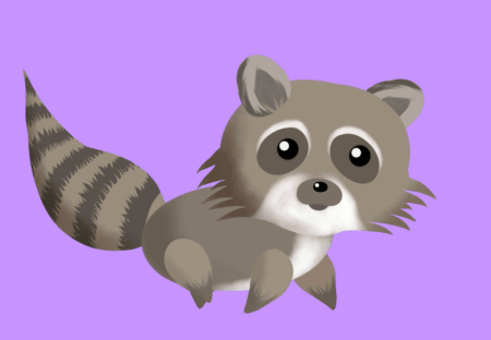 raccoon