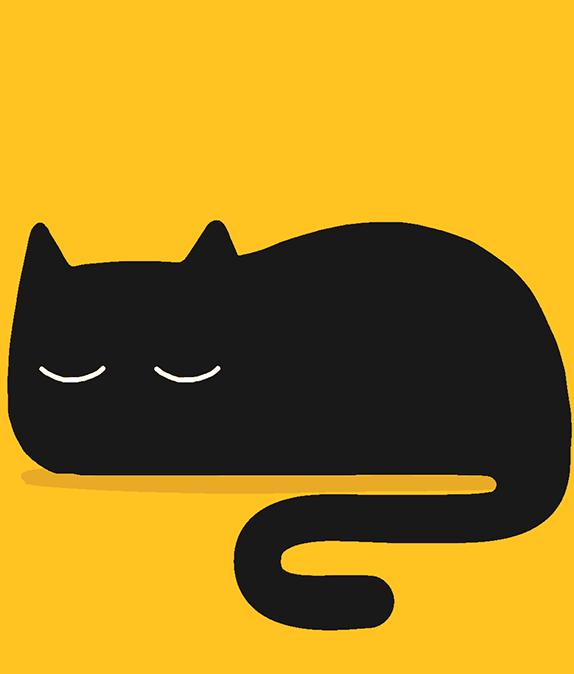 zzz?