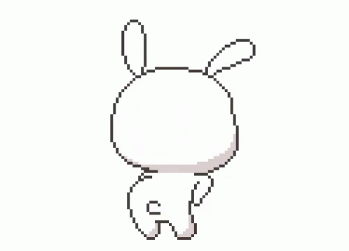 bunny