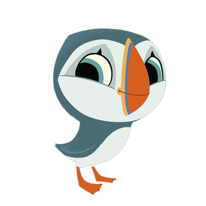 puffin