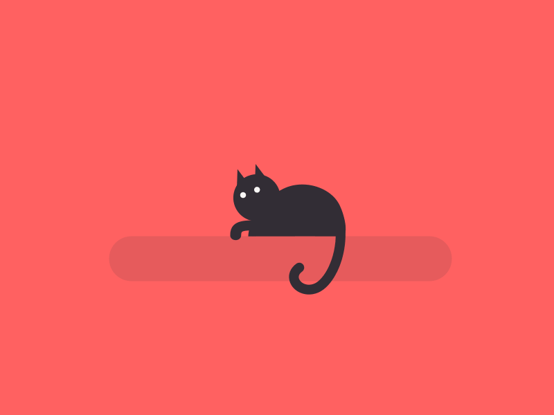 black cat