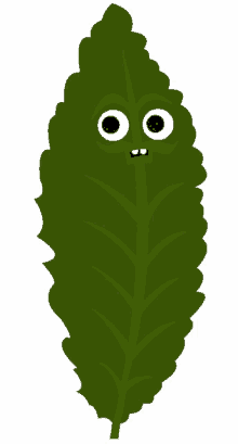 leaf