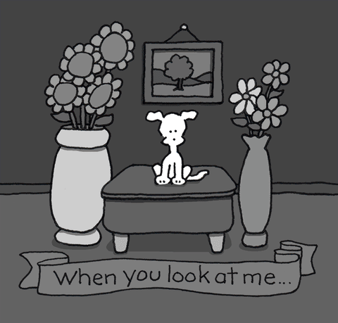 white dog