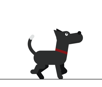 black dog