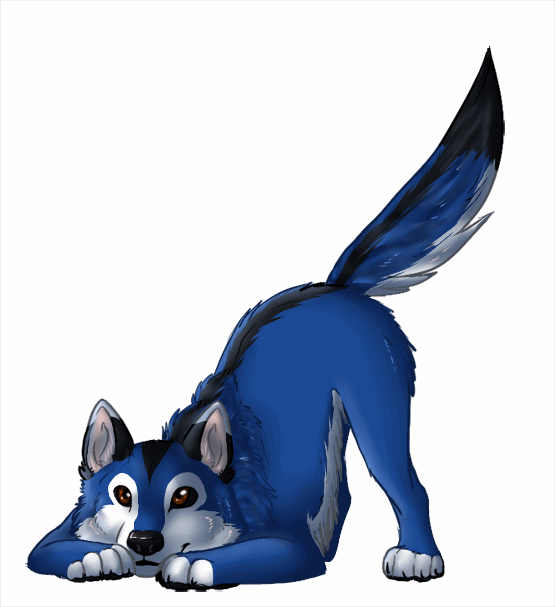 blue dog