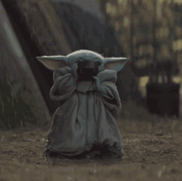 Yoda