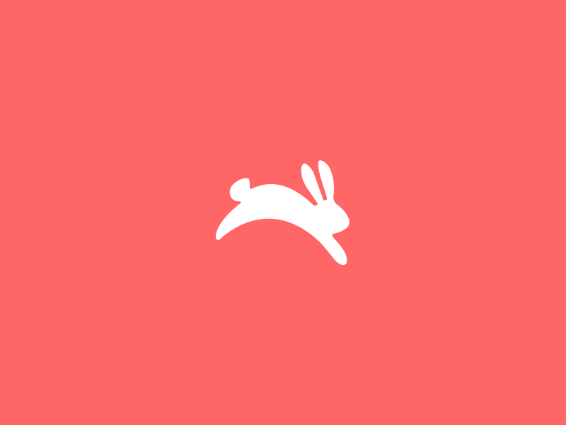 white bunny