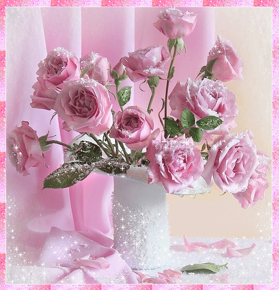 pink rosas