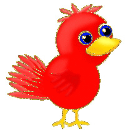 red bird