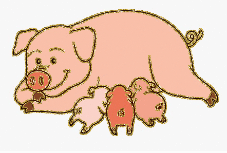 pig family