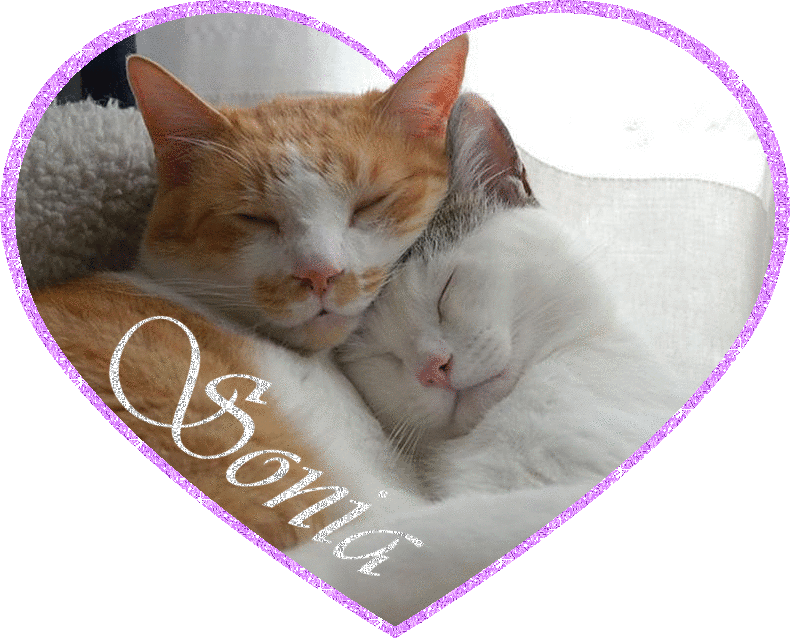 Sonia - two cats in a heart