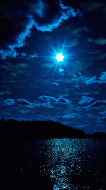 blue night
