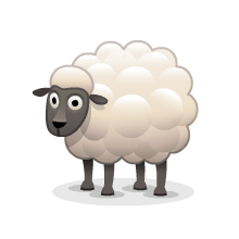 sheep