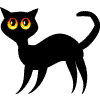 black cat