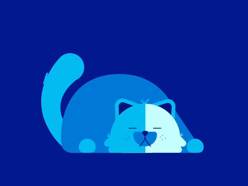 blue cat