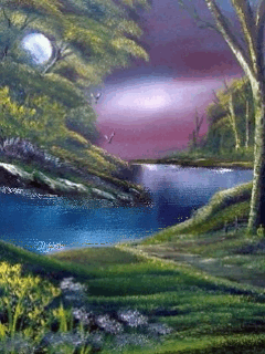 nature (in Animated GIFs)