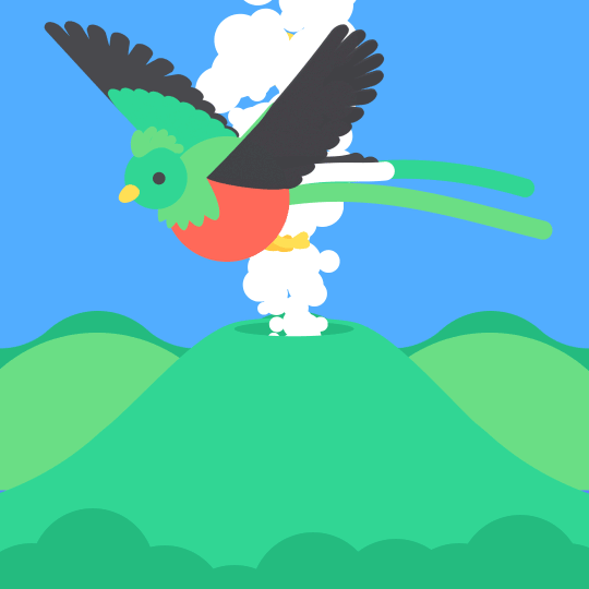 color bird